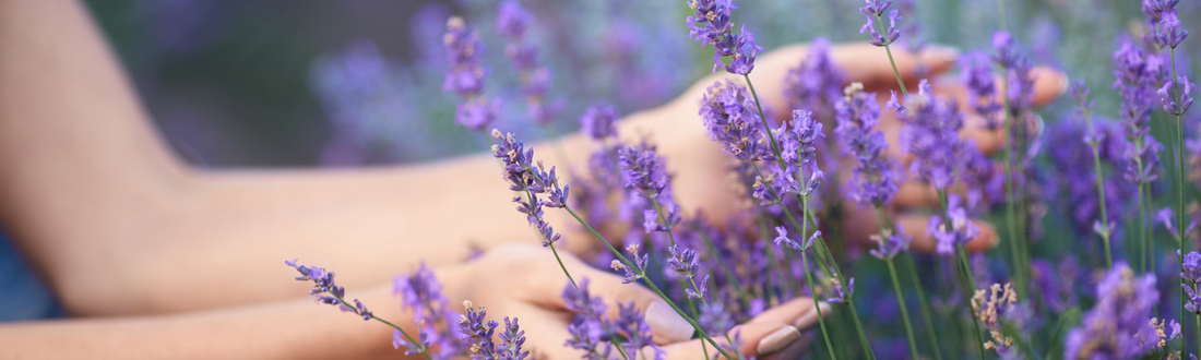 Éliminer les poux avec une lessive naturelle : découvrez l'efficacité de la lessive Hosane